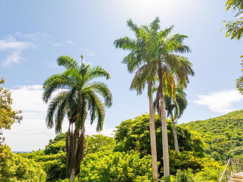 Tryall Club - Avalon , Montego Bay , Tryall  