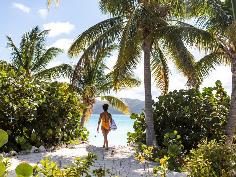 Guana Island , Guana Island  