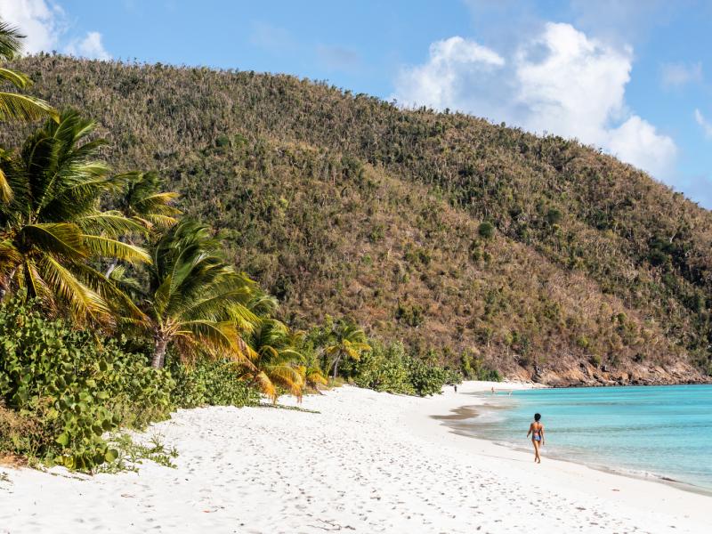 Guana Island , Guana Island  