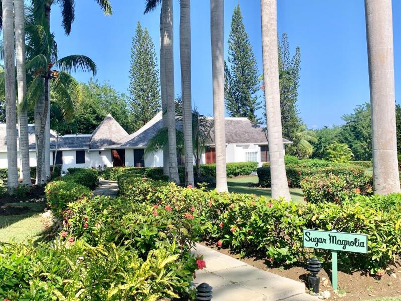 Sugar Magnolia , Montego Bay , Tryall  