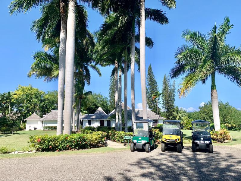 Sugar Magnolia , Montego Bay , Tryall  