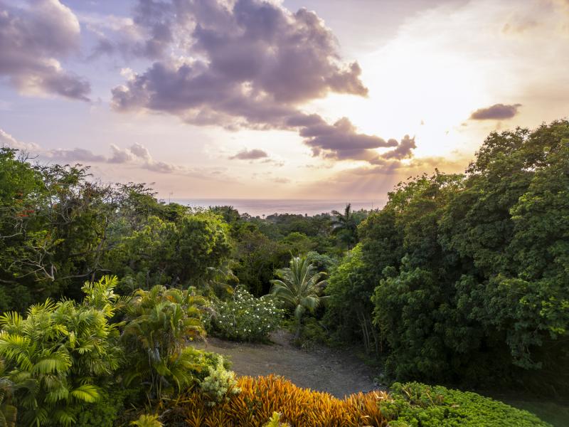 Sandy Lane Estate - Villa Phoenix , Sandy Lane Estate , St James , West Coast Barbados  