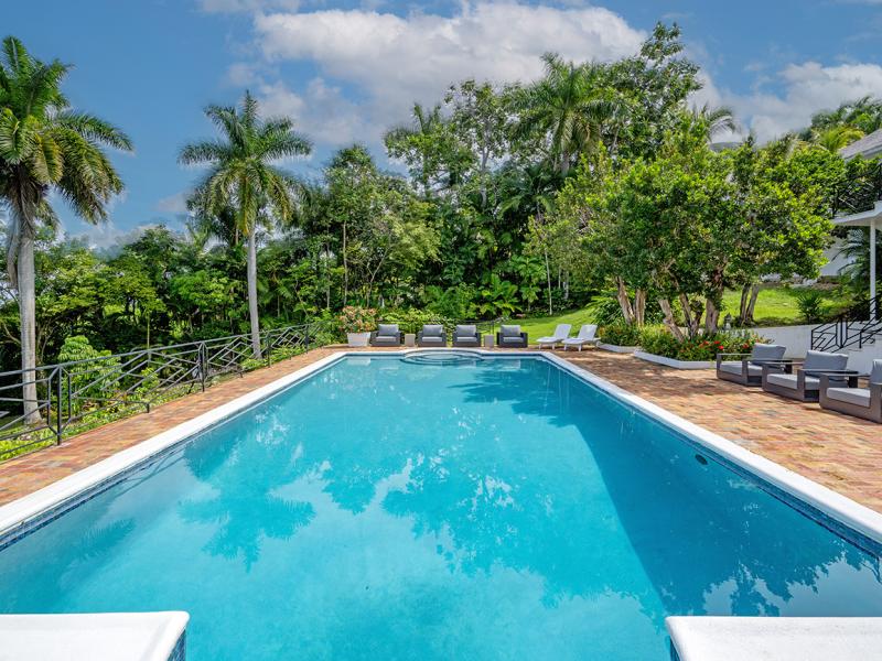 Love and Livity , Montego Bay , Tryall  