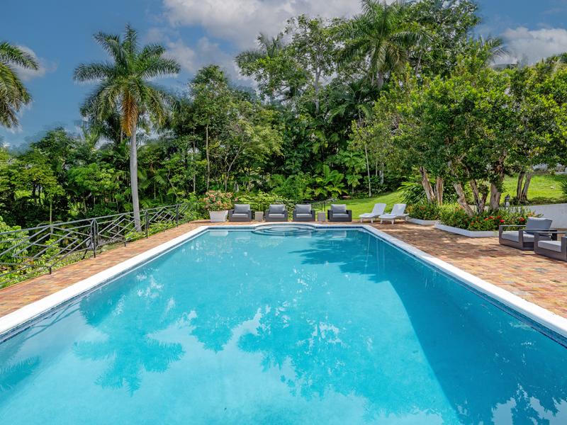 Love and Livity , Montego Bay , Tryall  