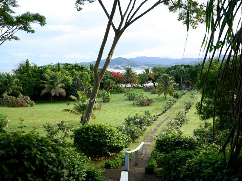 Mount Cinnamon , Grand Anse , St Georges  
