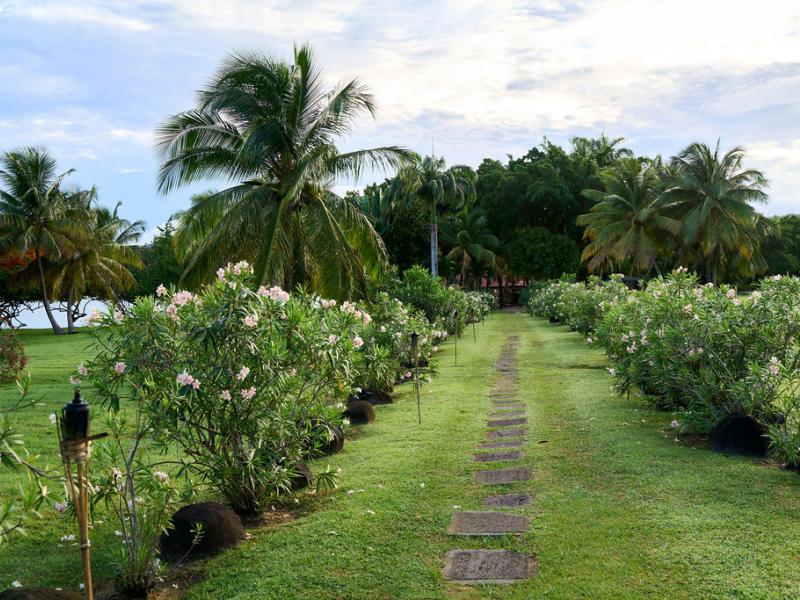 Mount Cinnamon , Grand Anse , St Georges  