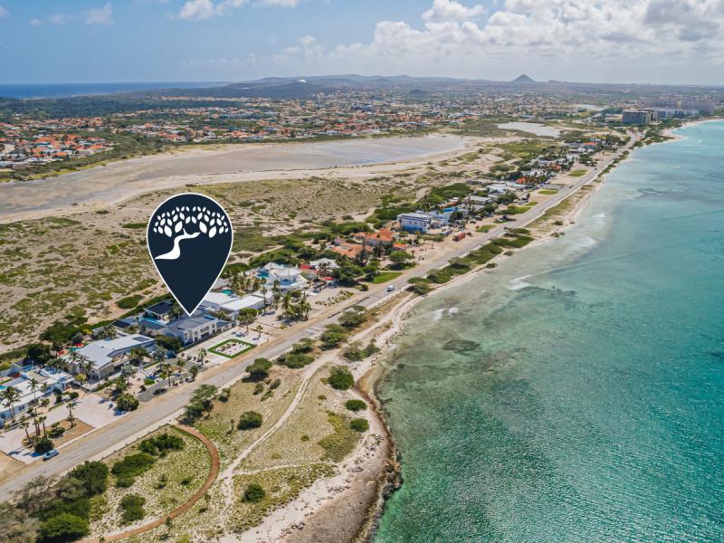 Oceanfront Mansion 498 ,   