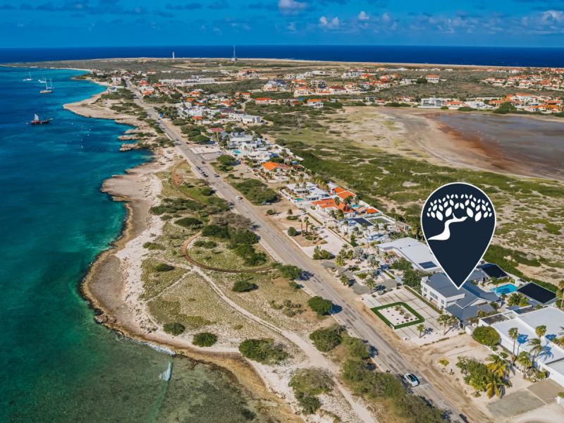 Oceanfront Mansion 498 ,   