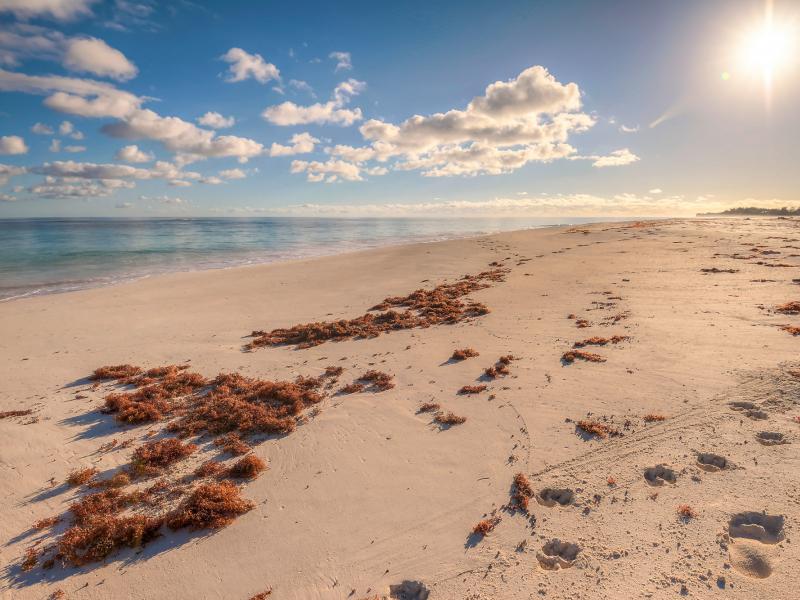 Eleuthera 4  , Eleuthera  