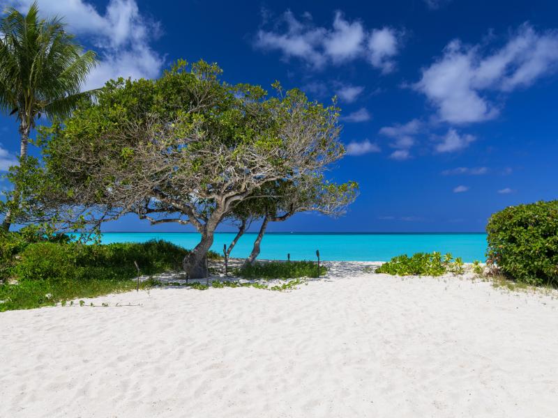 Sea Breeze - Beachfront , Grace Bay  