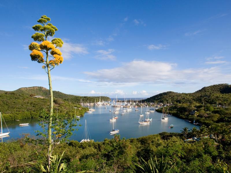 Casa Lidia , English Harbour  