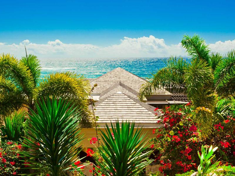 Bird of Paradise Anguilla , Sandy Hill  