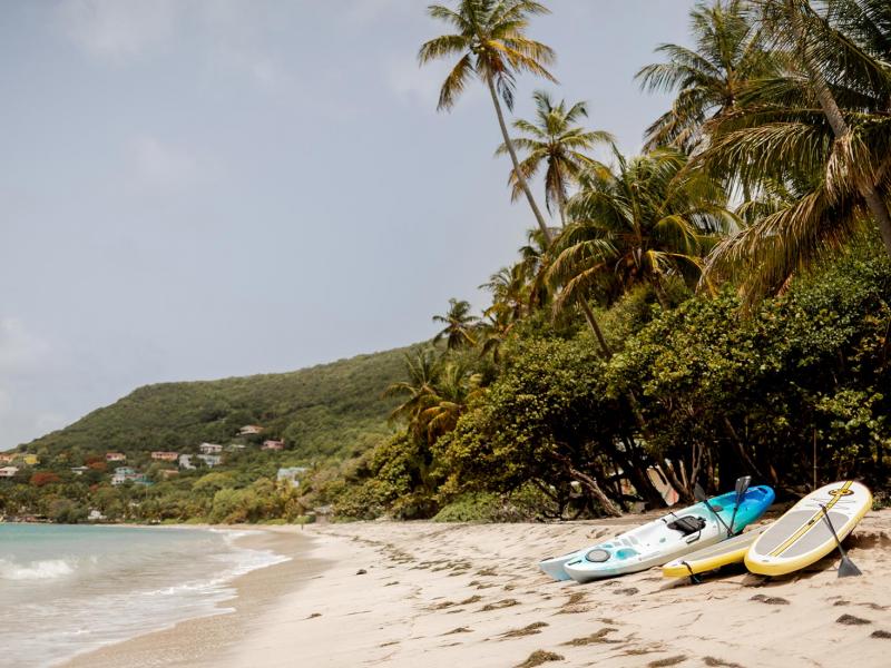 Friendship House , Friendship Bay  