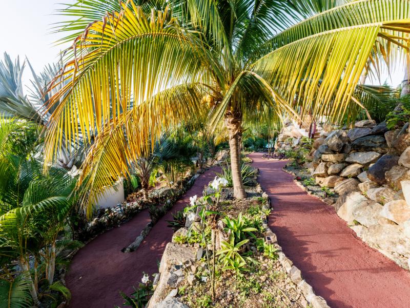 MyALL Tortola , Tortola  