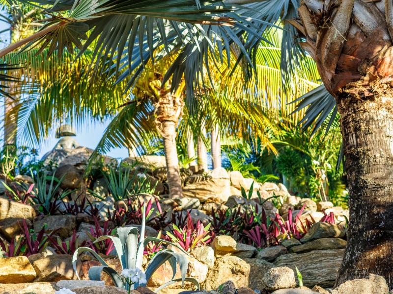 MyALL Tortola , Tortola  