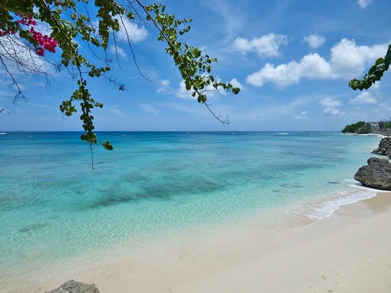 Sandy Cove 204 - Beachfront , Beachfront villas Barbados , Paynes Bay , Prospect , Sandy Cove , St James  