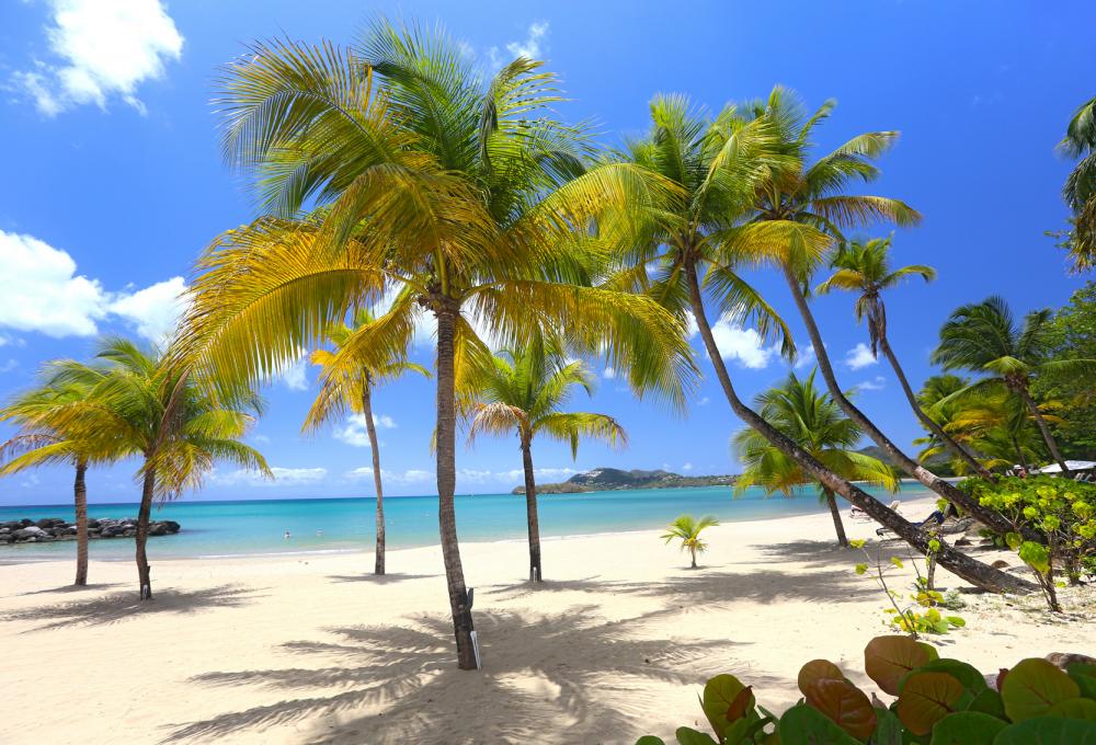 Christmas Vacation Villas in the Caribbean  Christmas Vacation Villas in the Caribbean